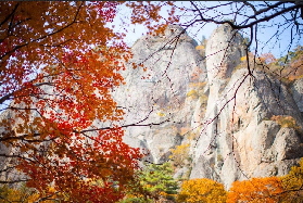 2025年韓國周王山賞楓一日遊：穿越太白山脈的秋日詩行