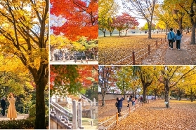 2025 慶州賞楓季：紅葉時刻表與紅楓地圖