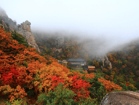 2025韓國江原道雪嶽山賞楓全攻略：紅葉漫山，赴一場秋天的約會