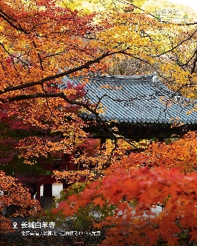 2025逃離首爾！探秘韓國必去私藏級楓景秘境