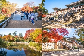 2025 韓國紅葉預測：10 月尾紅葉全盛期來襲！