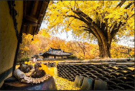 2025韓國慶州賞楓攻略：古韻古都的秋日浪漫