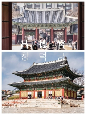 2025邂逅韓國最美秋色，這幾個賞楓點一定要去