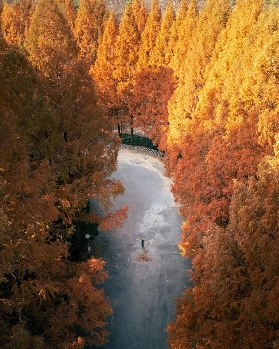 韓國長泰山秋季賞楓葉攻略：探尋大田的天然氧吧