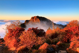 韓國智異山楓焰秘境：亞洲頂級紅葉的實時賞味指南