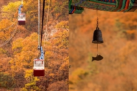 韓國內藏山紅葉狂想曲：奏響秋日絕美交響的全攻略