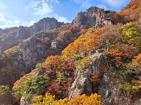 大屯楓野：首爾近郊賞楓秘境全攻略