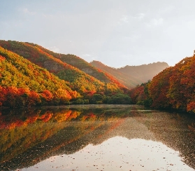 周王山楓影秘境：首爾近郊賞楓與自然療愈全攻略