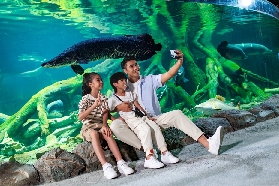 珠海長隆飛船樂園入園常見問題全解析