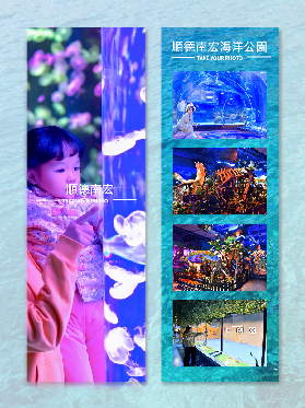 順德避暑實測｜南宏海洋公園3大亮點+5個避坑貼士✨