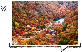 韓國內藏山：亞洲十大賞楓地，秋日浪漫之旅