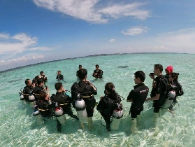 仙本那三島潛水實測｜新手必看！避坑+體驗全攻略✨