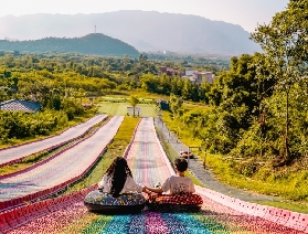 ​佛山南丹山森林王國：夏日避暑秘境，解鎖森系狂歡指南