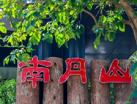 🔥2025 暑假必去！廣東佛山避暑天花板，25℃森林王國爽到不想走！