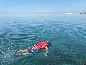 仙本那馬布島卡帕萊浮潛｜超推新手友好行程分享🐢