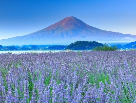 富士山一日遊實測｜季節限定景點差很大！這些坑別踩💡