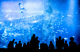 韓國自由行｜首爾到釜山包車體驗！不用找車超讚✨