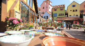 首爾包車接送南怡島+草泥馬樂園｜避坑總結！這5點千萬別忽略💡