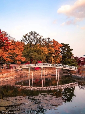 2025 首爾楓葉季最強賞楓攻略