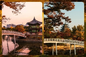 25 年首爾秋季必賞楓葉，十大著名景點全打卡