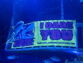 吉隆坡城中城水族館，暑假必打卡的海洋奇幻之旅