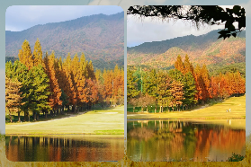 慶州秋季賞楓精華攻略：5 大必去景點 + 交通 & 時間指南