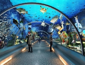 順德南宏海洋公園全攻略：夏日遛娃、親子探秘好去處