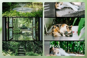 廣州隱藏秘境！8蚊嘆嶺南蘭圃🌿實測避坑+攻略