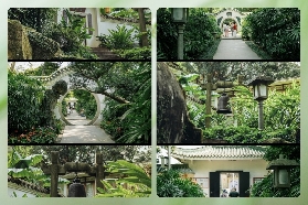 廣州蘭圃秘境實測！超讚蘭花王國+避坑懶人包🌸