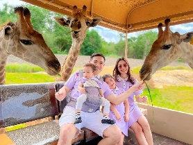 芭堤雅動物王國奇遇記：三大動物園暢玩全攻略