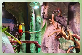 臺北人遊廣州｜正佳雨林超讚！路線+科普體驗全紀錄🥰