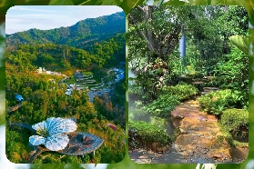 廣州雲蘿植物園實測｜預訂+避坑+亮點一次講清✨