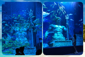 廣州海洋館懶人包｜夏日超涼快！水母館+表演時刻表一次看👀