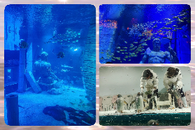 廣州正佳極地海洋世界｜夏日消暑超讚！24℃恒溫+親子遊必去✨