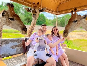 暑假遛娃天花板！華欣野生動物園親子趣玩攻略