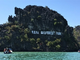 蘭卡威紅樹林之旅｜預訂前必看3個選品技巧！超抵玩不踩雷✨