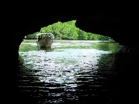 蘭卡威紅樹林之旅｜親測避坑5大要點！省錢又省心✅