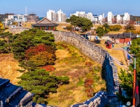 水原華城文化節一日遊：穿越 200 年的朝鮮王朝盛宴，解鎖秋日限定狂歡