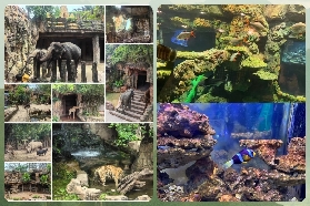 佛山長鹿旅遊休博園玩法全解：總有一款適合你