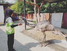 蘭卡威野生動物園一日遊：一場奇妙的動物之旅