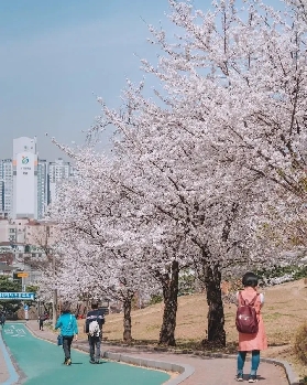 2025韓國水原華城遊玩攻略：穿越歷史，邂逅韓流浪漫