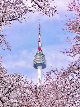 韓國 KTX 高鐵乘坐科普：暢遊韓國的便捷之選