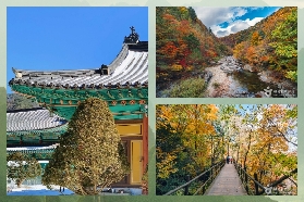 2025年韓國五臺山：秋日紅葉與禪意交織的秘境之旅