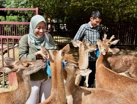 2025蘭卡威野生動物園親子遊玩全攻略，帶娃必看！