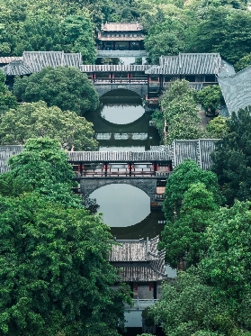 東莞待了十年❗竟然才發現藏著一個嶺南水鄉