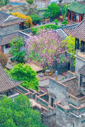 第一次去東莞‼️請直接復製這條東莞一日遊路線