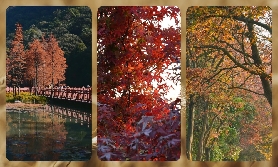 廣州石門森林公園｜實玩日記！四季亮點+拍照秘訣大公開🌼