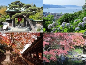 東京鐮倉一日遊實測｜預訂前必睇3個選品重點！超抵小團仲包接送✨