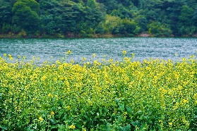 廣州石門國家森林公園四季遊玩攻略