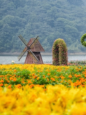 🌿廣州石門避暑攻略｜港澳遊客專屬！在 25℃森林裏逃離都市熱浪